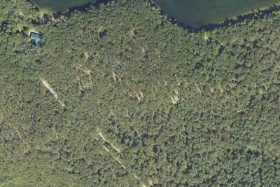 Site 1