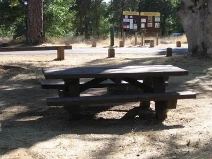 Pines Group Stanislaus