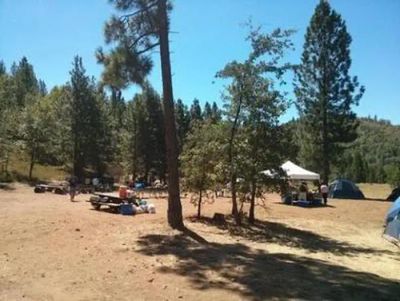 Pines Group Stanislaus