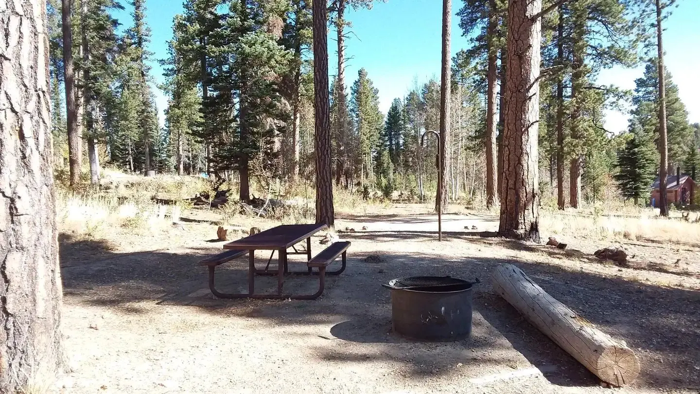Demotte Campsite with table, fire ring, and sitting log.