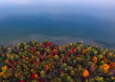 Colorful trees near a lake (Unsplash)