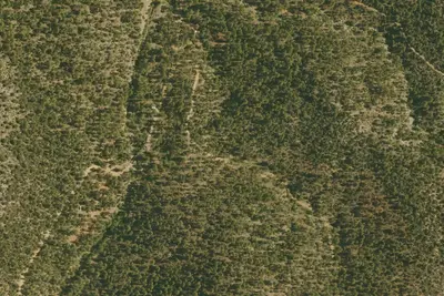 Site 13