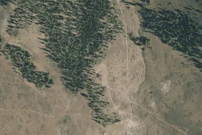 Camp site