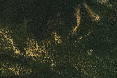 Camp site