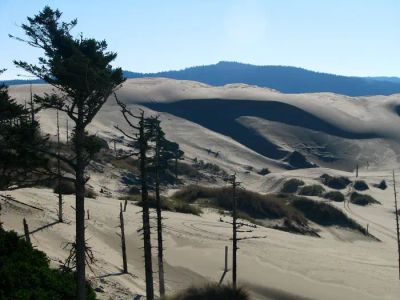 Siltcoos Sand Camps
