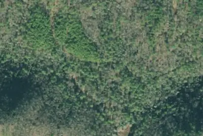 Camp site