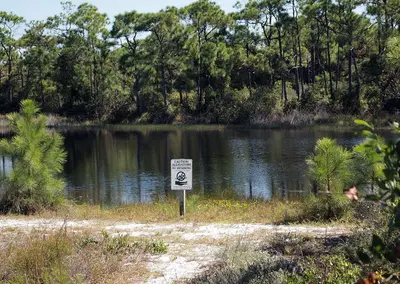St. George Island State Park - panoramio (2)