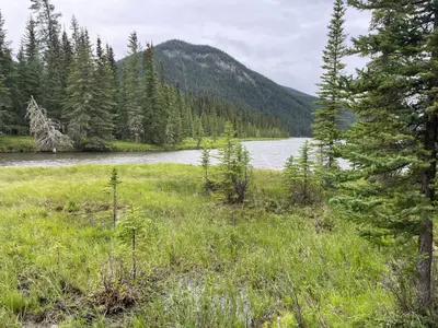 Rock Lake Outlet