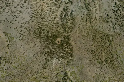 Camp site