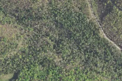 Camp site