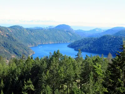 Saanich Inlet (50059332237)