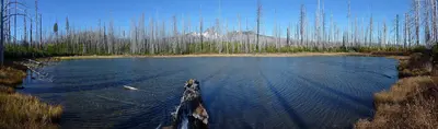 Three Fingered Jack from unnamed pond