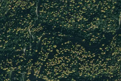 Rd 7995 Campsite