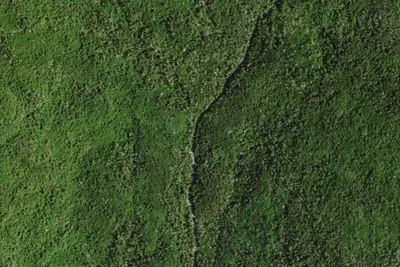 Camp site (NYSDEC)