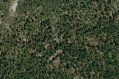 Bear Group Campground