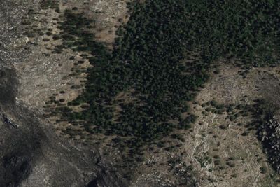 Bush Mountain Wilderness Campground