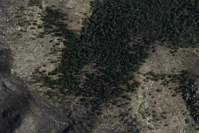 Bush Mountain Wilderness Campground