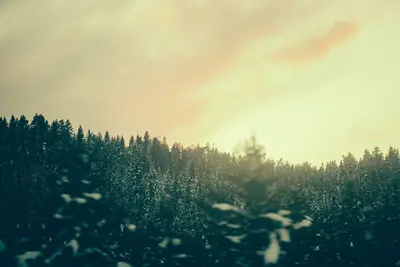 Montana, United States (Unsplash L5ewiAXs0S4)