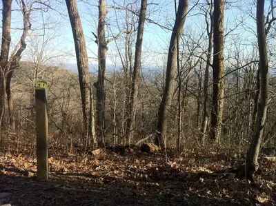 3.1 mile marker len foote hike inn trail amicalola falls ga - panoramio