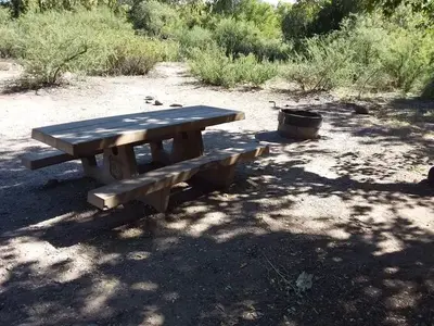 Site 8.