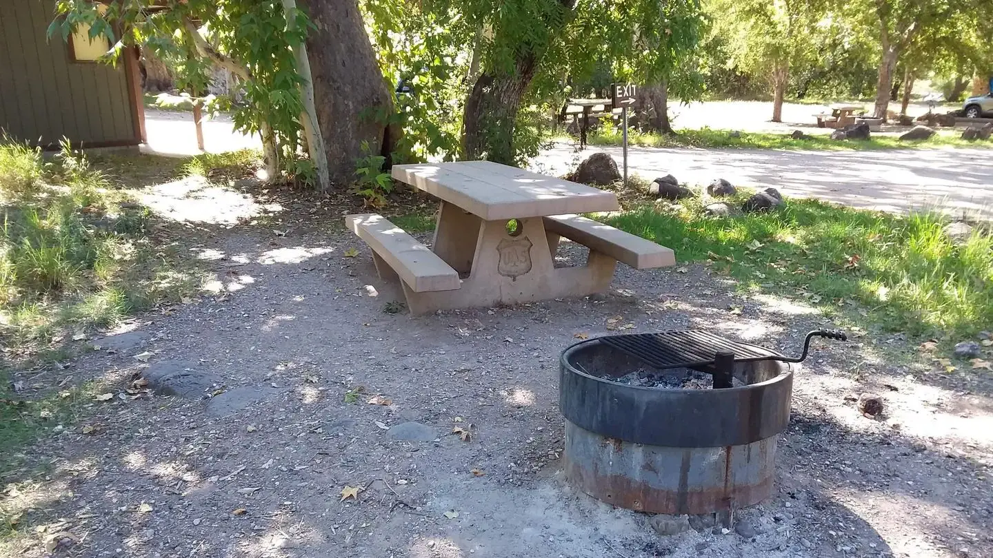 Picnic site.