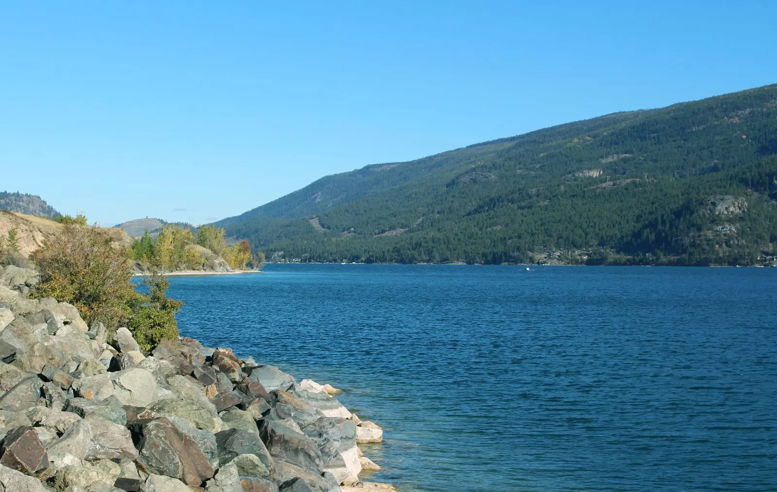 Photo of Ellison Park