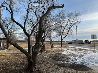 Burgen Lake Rest Area outside Alexandria, Minnesota in January 2025