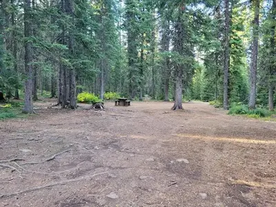 Fish Creek Group Site pic 10