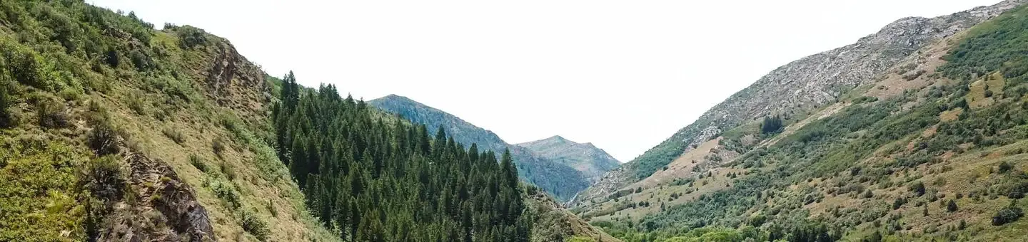 South Fork Campground