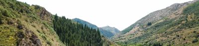 South Fork