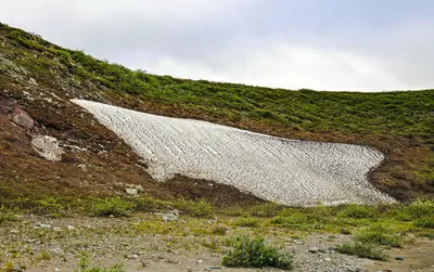 Snow patch on cliff near Firth River, Ivvavik National Park, YT