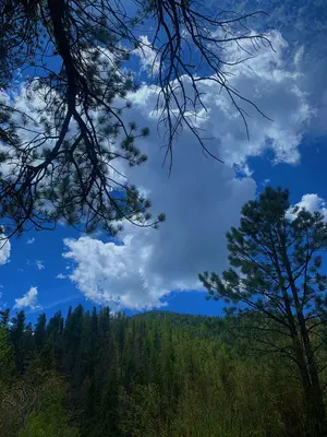 Pretty tress and clouds from red river