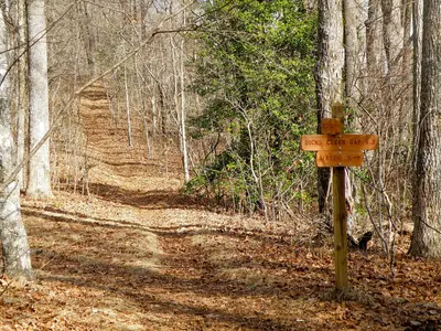 Addis Gap - WildCat Rd - panoramio