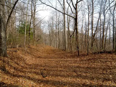 Addis Gap-Miller Creek Rd - panoramio