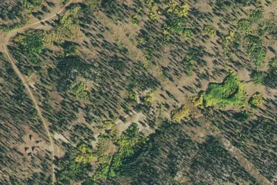 Camp site