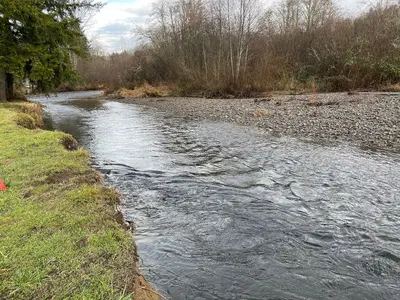 2023-01-07, South Prairie Creek, Pierce County, Washington, 04