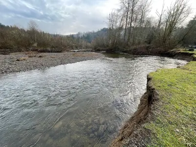 2023-01-07, South Prairie Creek, Pierce County, Washington, 05