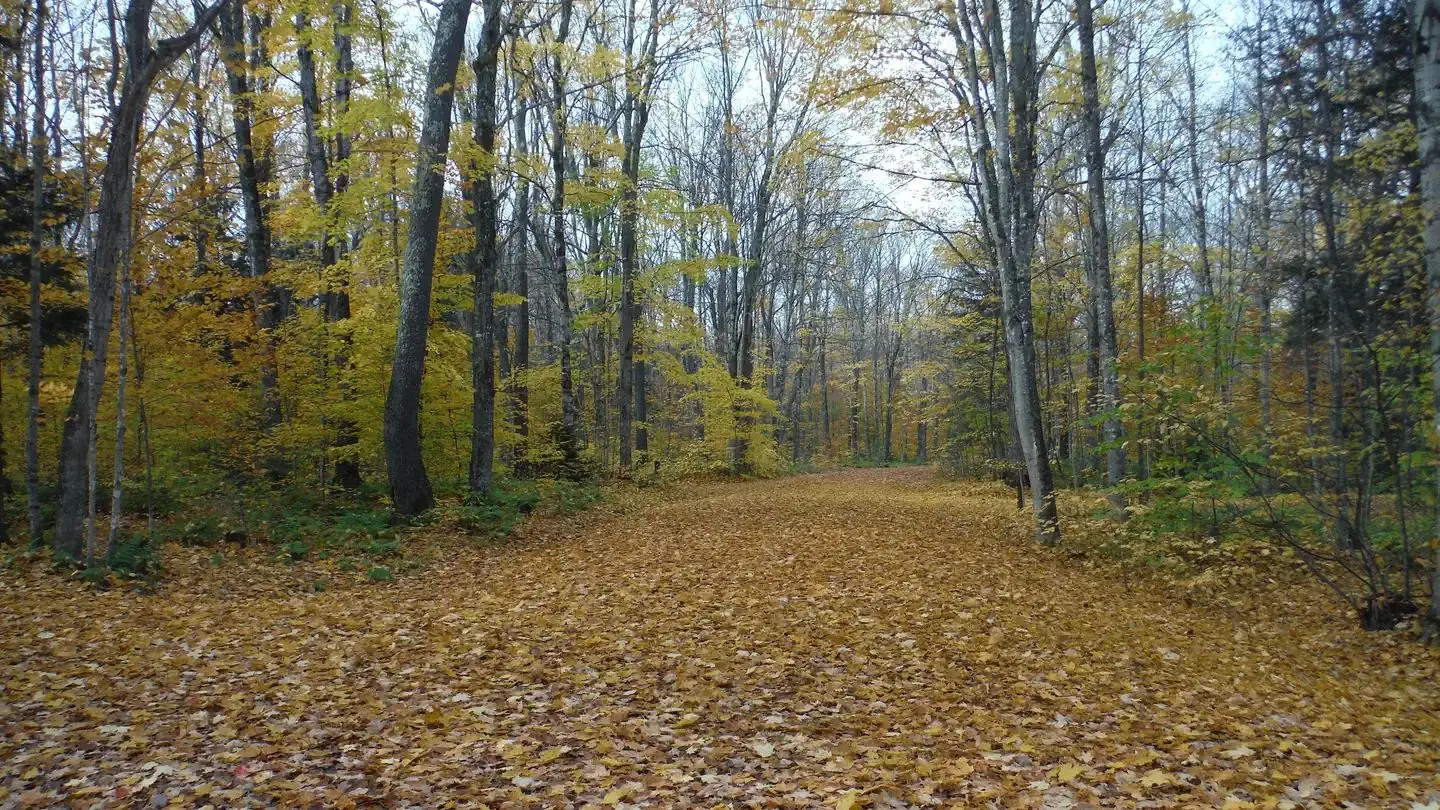 AuTrain Lake Campground - Main Drive