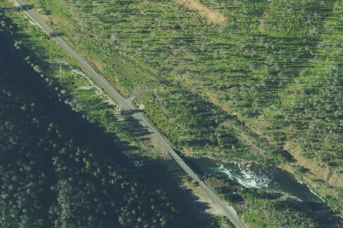 Aerial view