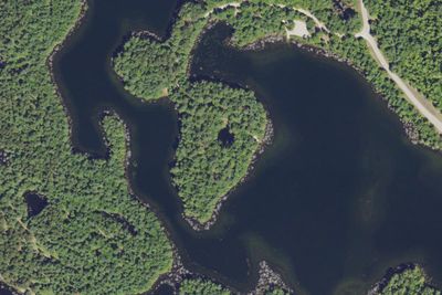 Kingston Lake State Forest Campground