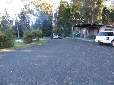 Hosmer Grove