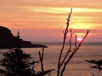 East Coast Trail (43315296844)