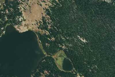 U.S. Forest Service Site 7