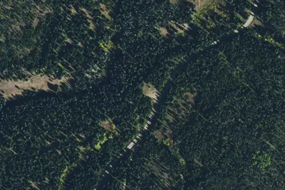 Camp site