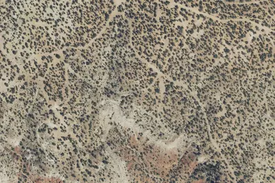 Camp site