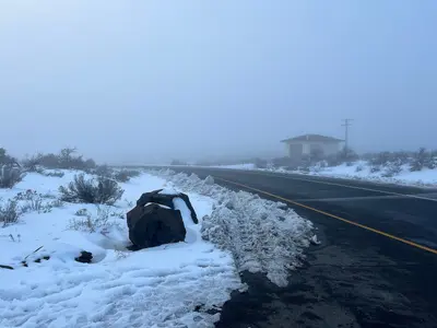 Foggy afternoon at Ryegrass Rest Area westbound