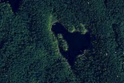Pine Lake Camp