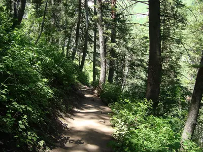 Alpine Scenic Highway Walking Trail in Utah - panoramio
