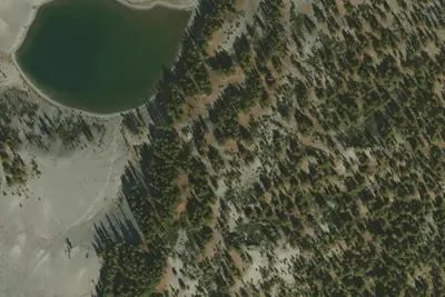 U.S. Forest Service Site #6