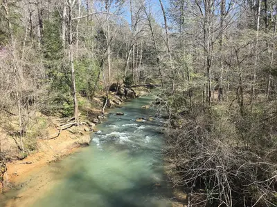 Sipsey Wilderness 2018 02